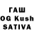 Галлюциногенные грибы Cubensis Firudin Dadashov
