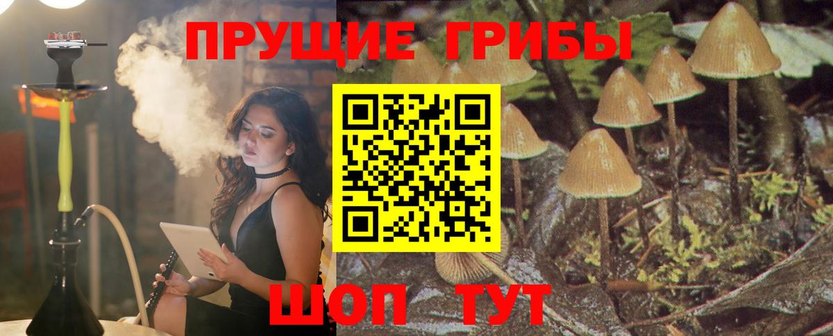 Галлюциногенные грибы GOLDEN TEACHER Пушкино