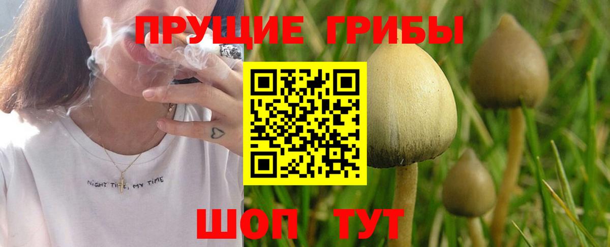 Псилоцибиновые грибы мицелий  как найти закладки  Пушкино  Галлюциногенные грибы прущие грибы  Вход с VPN 